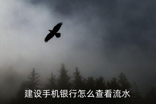 網(wǎng)上怎么查建行流水賬單，建設(shè)手機(jī)銀行怎么查看流水