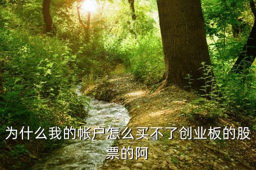 怎么買不了創(chuàng)業(yè)板的股票，為什么我的帳戶怎么買不了創(chuàng)業(yè)板的股票的阿
