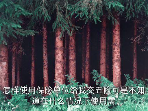 怎樣使用保險(xiǎn)單位給我交五險(xiǎn)可是不知道在什么情況下使用需