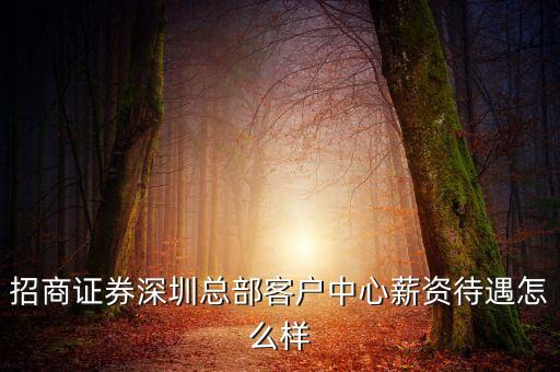 招商證券深圳總部客戶中心薪資待遇怎么樣