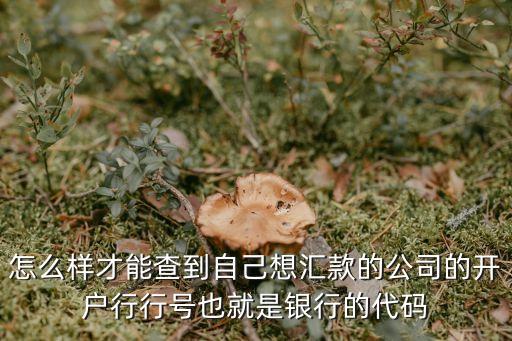 開(kāi)戶(hù)行行號(hào)怎么查，如何在網(wǎng)上查銀行行號(hào)