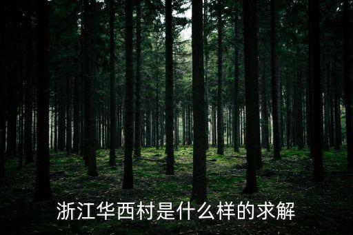 浙江華西村是什么樣的求解