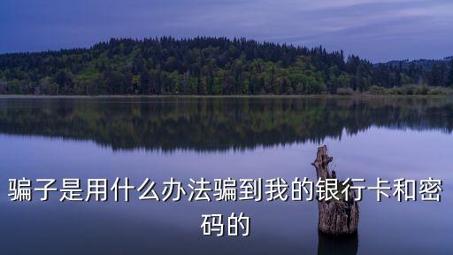 騙子是用什么辦法騙到我的銀行卡和密碼的