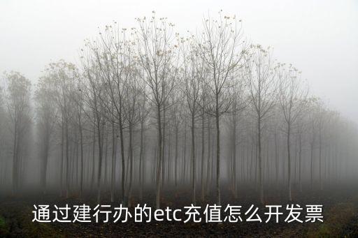 通過建行辦的etc充值怎么開發(fā)票