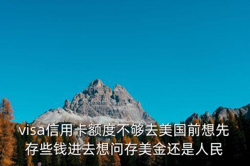 visa信用卡額度不夠去美國前想先存些錢進(jìn)去想問存美金還是人民