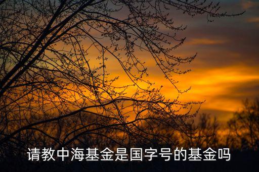 請教中海基金是國字號的基金嗎