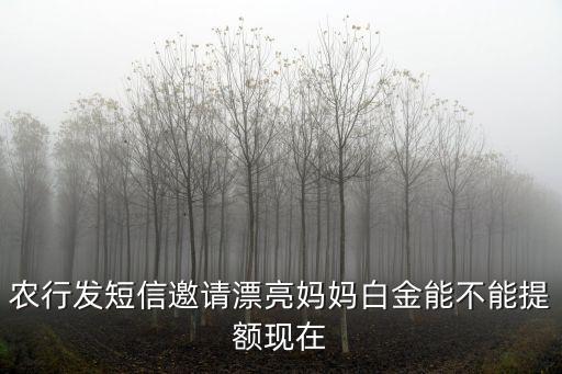 農(nóng)行發(fā)短信邀請漂亮媽媽白金能不能提額現(xiàn)在