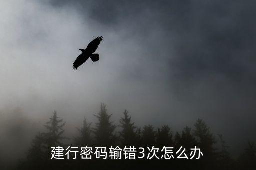 建行多次輸入密碼錯(cuò)誤怎么辦，我的建設(shè)銀行卡連續(xù)輸入密碼錯(cuò)誤現(xiàn)在怎么辦