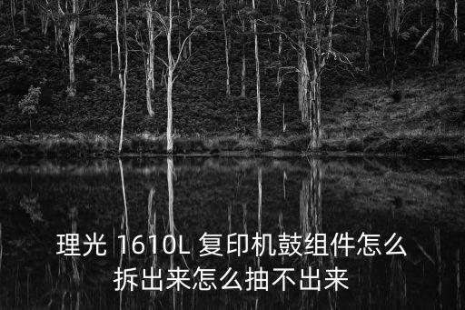 理光 1610L 復(fù)印機(jī)鼓組件怎么拆出來(lái)怎么抽不出來(lái)