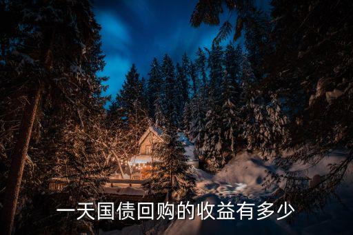 一天國債回購的收益有多少