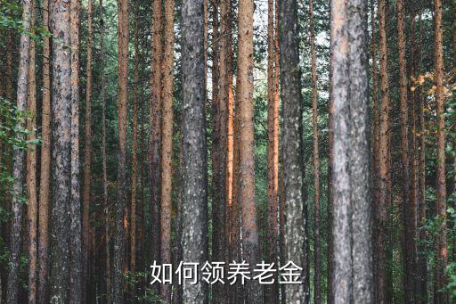 如何領(lǐng)養(yǎng)老金
