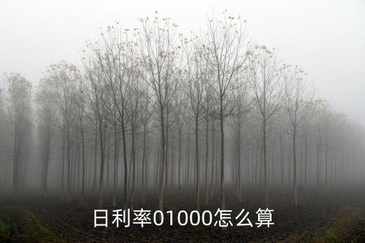 日利率01000怎么算