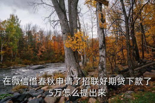 在微信借春秋申請了招聯好期貸下款了5萬怎么提出來