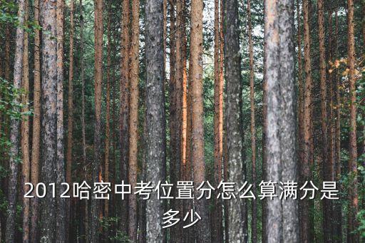 2012哈密中考位置分怎么算滿分是多少