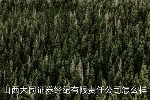 山西大同證券經(jīng)紀(jì)有限責(zé)任公司怎么樣