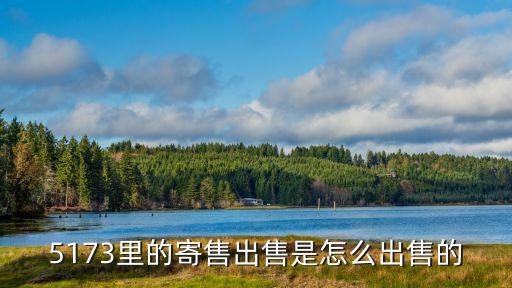 5173里的寄售出售是怎么出售的