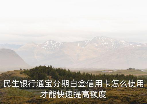 民生通寶卡怎么提額度，民生銀行通寶分期白金信用卡怎么使用才能快速提高額度