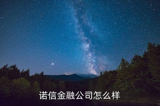 諾信金融公司怎么樣