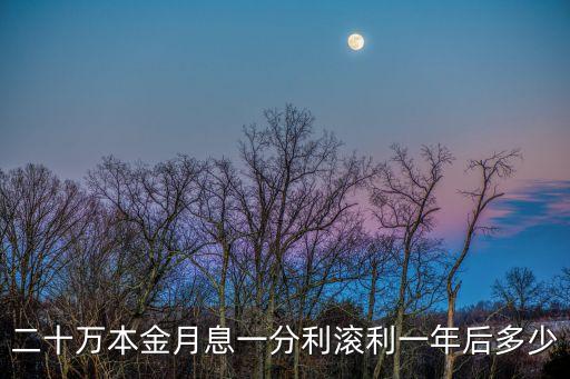 二十萬本金月息一分利滾利一年后多少