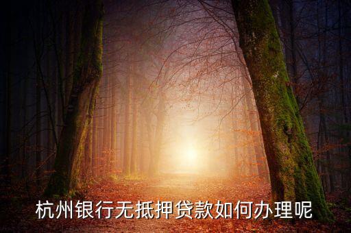 杭州銀行無抵押貸款如何辦理呢