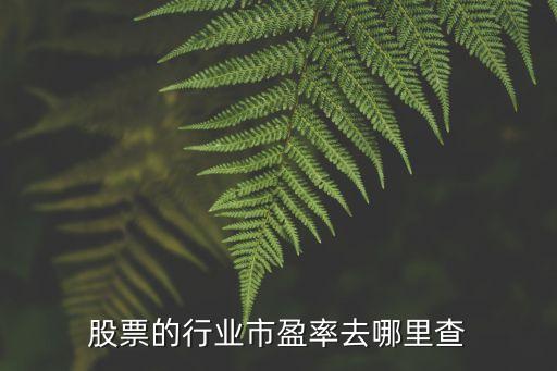 行業(yè)市盈率怎么查，哪里可以查詢例年食品行業(yè)的市盈率