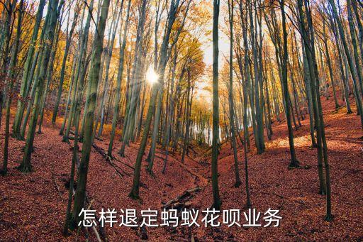 怎樣退定螞蟻花唄業(yè)務(wù)