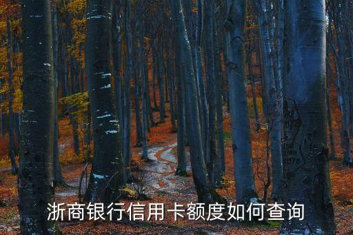 浙商信用卡額度怎么查，您好怎么查浙商信用卡額度