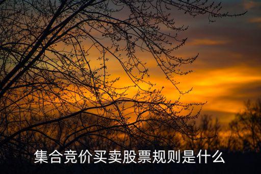 集合競價(jià)買賣股票規(guī)則是什么