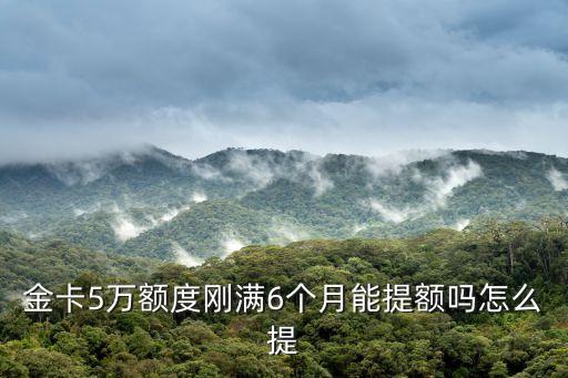 金卡5萬(wàn)額度剛滿6個(gè)月能提額嗎怎么提