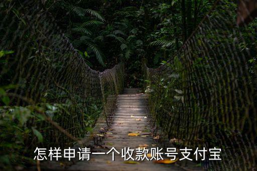 怎樣申請(qǐng)一個(gè)收款賬號(hào)支付寶
