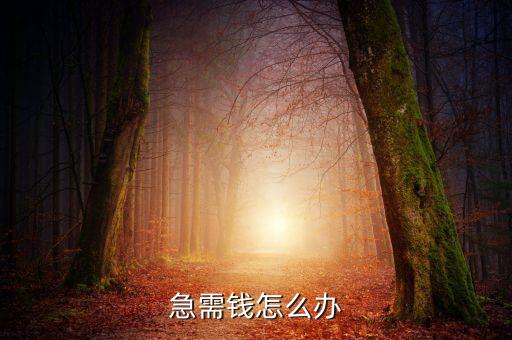 急需錢怎么辦