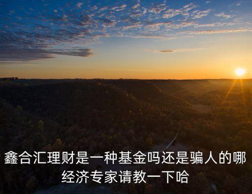 鑫合匯理財是一種基金嗎還是騙人的哪經(jīng)濟專家請教一下哈