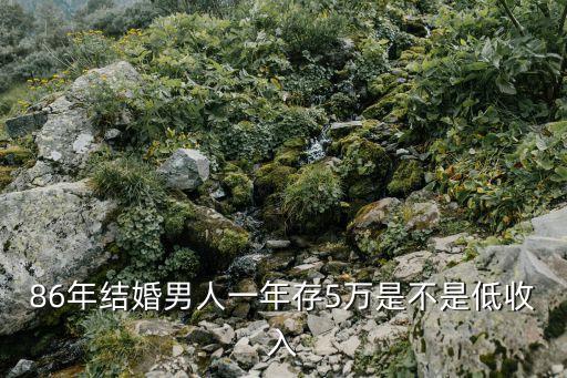 86年結(jié)婚男人一年存5萬(wàn)是不是低收入
