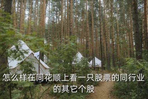 怎么樣在同花順上看一只股票的同行業(yè)的其它個股
