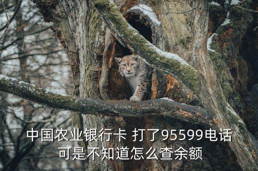 95599怎么查余額，中國(guó)農(nóng)業(yè)銀行卡 打了95599電話 可是不知道怎么查余額