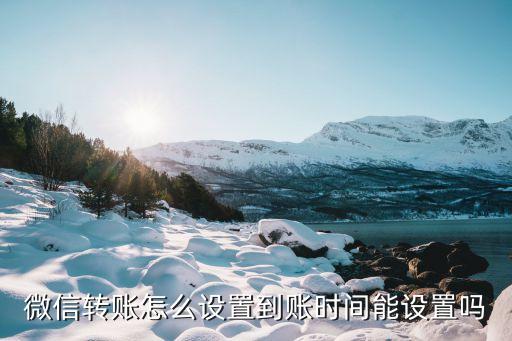 微信轉(zhuǎn)賬怎么設(shè)置到賬時(shí)間能設(shè)置嗎