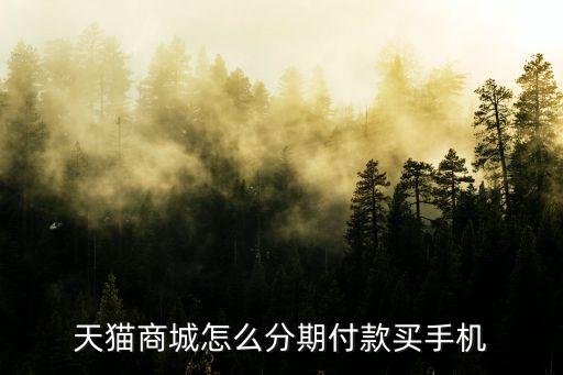 天貓商城怎么分期付款買手機(jī)