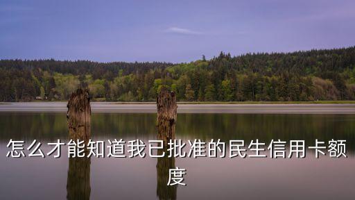 怎么才能知道我已批準(zhǔn)的民生信用卡額度