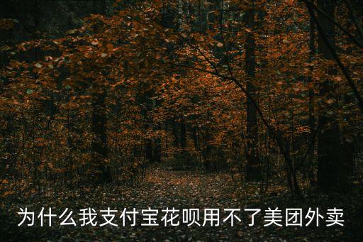 螞蟻花唄怎么沖美團，花唄在美團怎么用