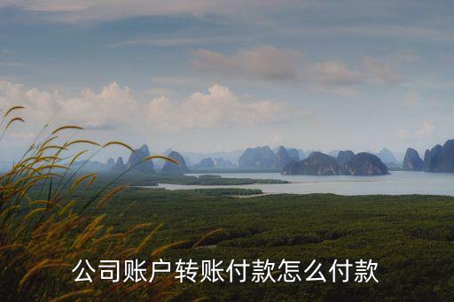 怎么樣用公司賬戶匯款，公司賬戶轉賬付款怎么付款