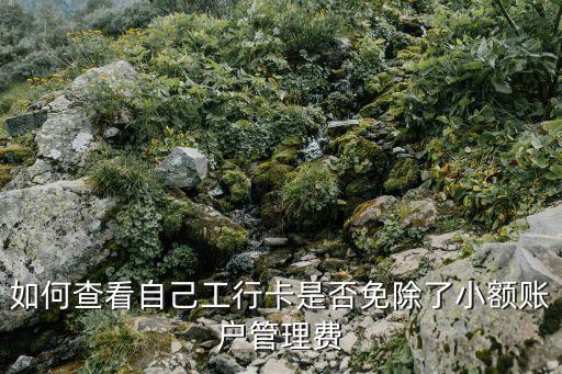 如何查看自己工行卡是否免除了小額賬戶管理費