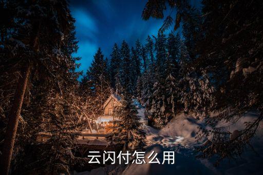 云閃付怎么用