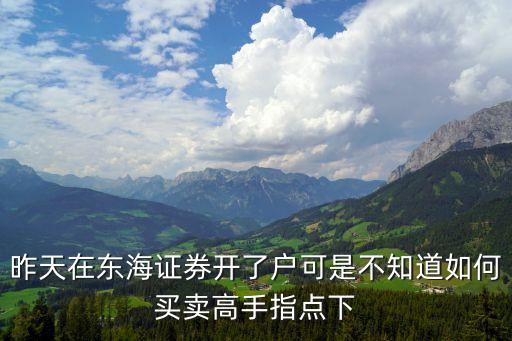 東海賬戶成立了怎么買股票，已經(jīng)在證券公司東海證券開好戶怎么在同花順上登陸不了啊