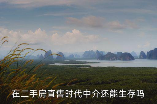 在二手房直售時(shí)代中介還能生存嗎