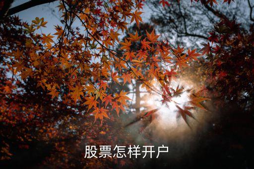 股票怎樣開戶