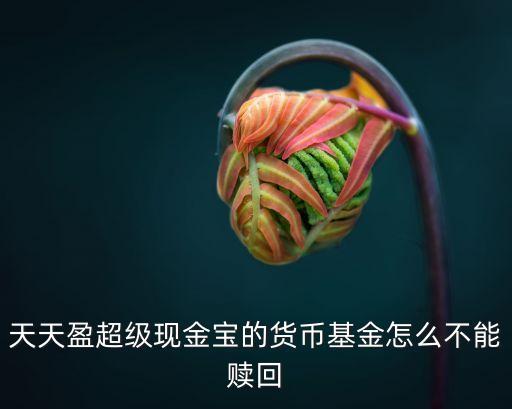 現(xiàn)金寶怎么沒沒贖回嗎，天天盈超級現(xiàn)金寶的貨幣基金怎么不能贖回