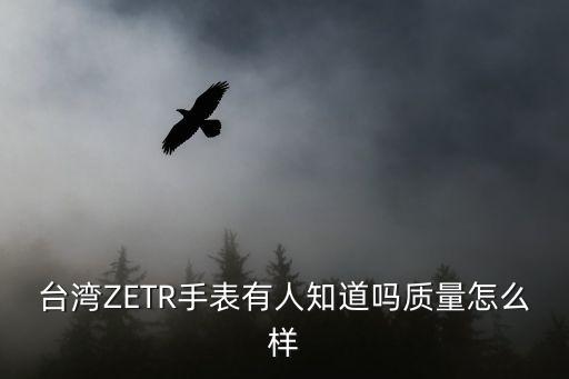臺(tái)灣ZETR手表有人知道嗎質(zhì)量怎么樣