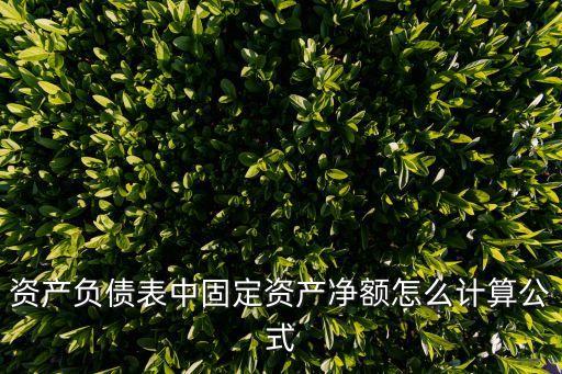 資產(chǎn)負(fù)債表中固定資產(chǎn)凈額怎么計(jì)算公式