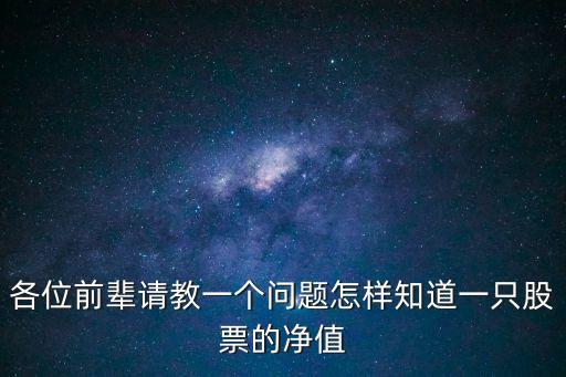 各位前輩請(qǐng)教一個(gè)問題怎樣知道一只股票的凈值
