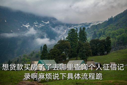 想貸款買房子了去哪里查詢個(gè)人征信記錄啊麻煩說下具體流程跪